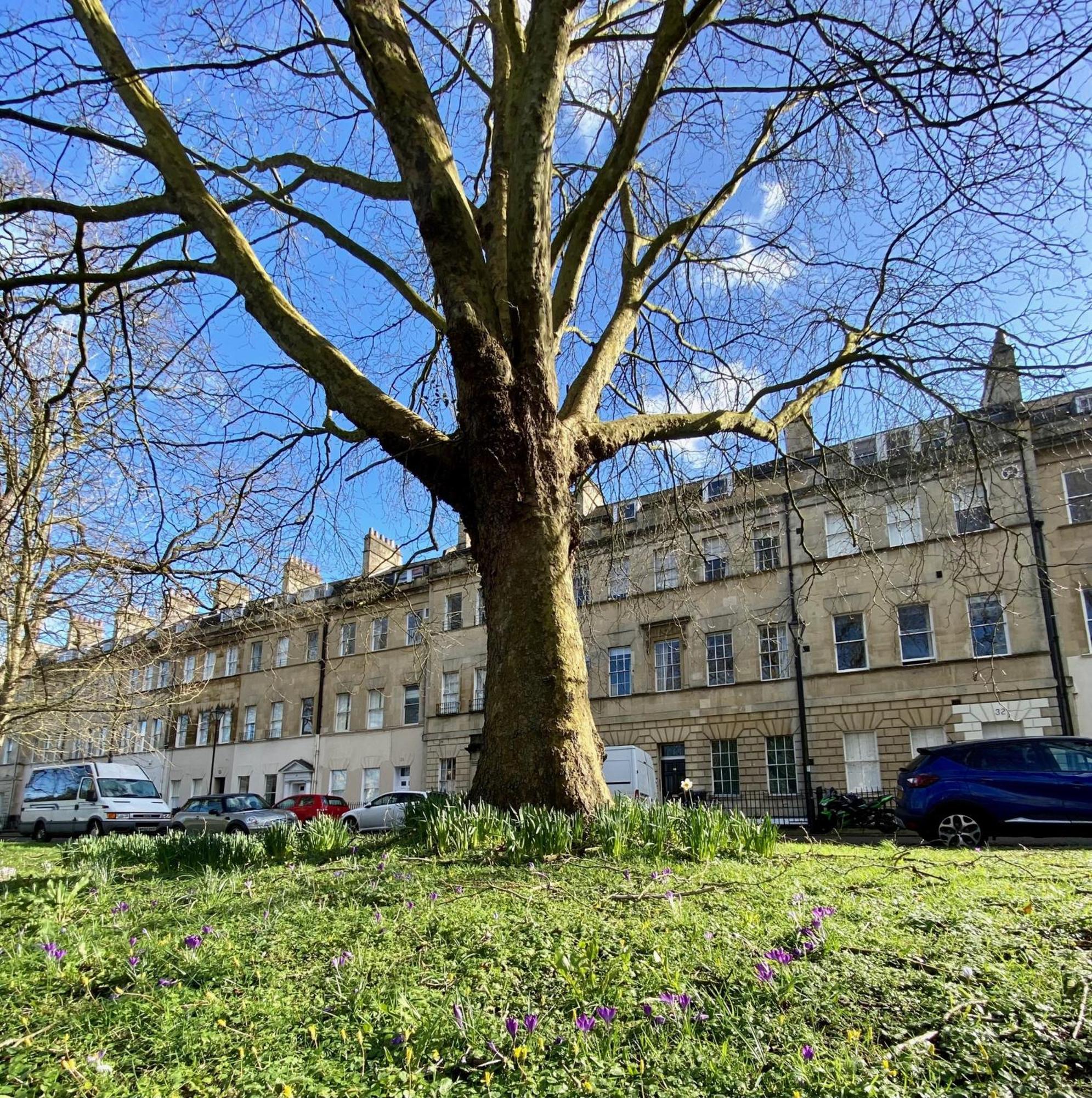 Grosvenor Apartments In Bath - Great For Families, Groups, Couples, 80 Sq M, Parking Eksteriør billede